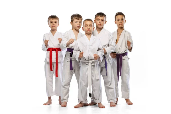 Future Champions Portrait Preschool Age Boys Beginner Karate Fighters White — Stock Photo, Image
