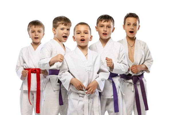 Sport Hobby Prestationer Grupp Glada Barn Nybörjare Karate Fighters Vita — Stockfoto