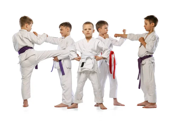 Sport Hobby Prestationer Grupp Glada Barn Nybörjare Karate Fighters Vita — Stockfoto