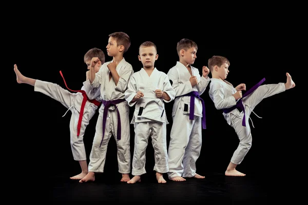 Futuras Campeonas Retrato Grupal Niños Edad Preescolar Luchadores Karate Principiantes — Foto de Stock