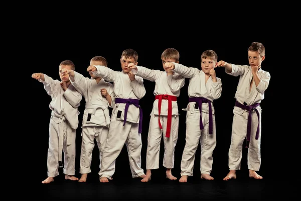 Üss Csoportkép Óvodás Fiúkról Kezdő Karate Harcosokról Fehér Dobokokban Akik — Stock Fotó
