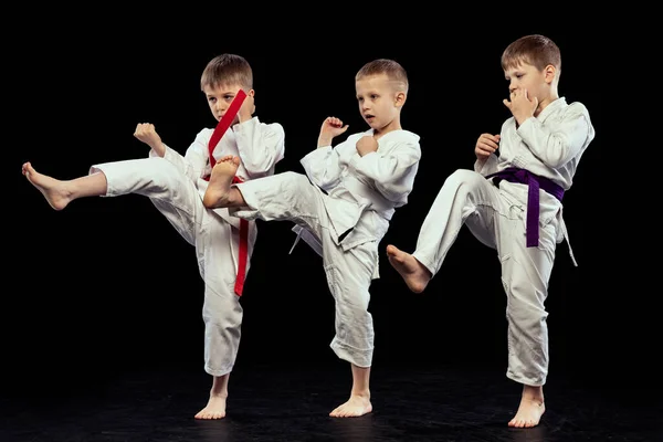 Benspark Gruppporträtt Förskolepojkar Nybörjare Karate Fighters Vita Doboks Poserar Som — Stockfoto