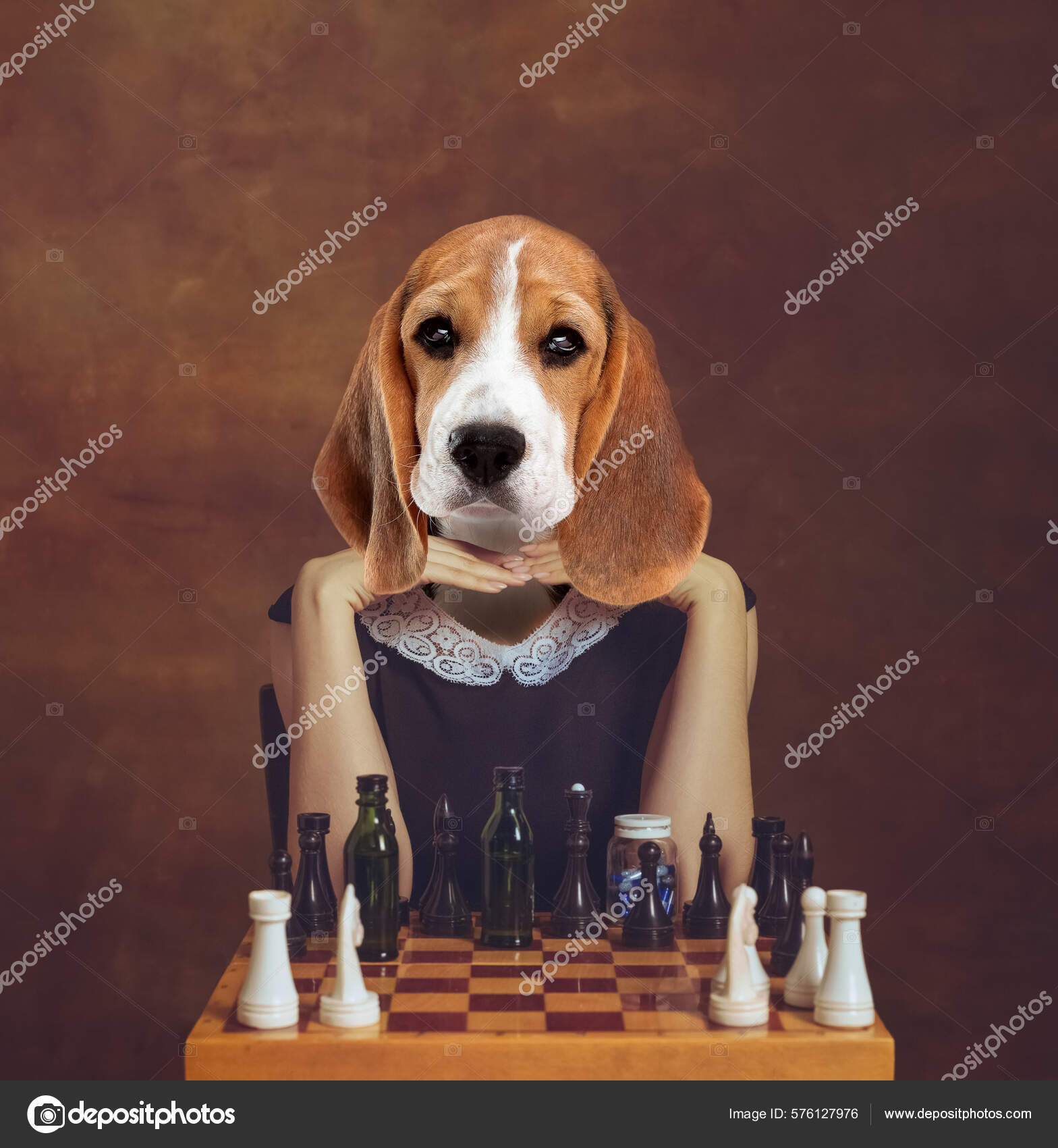 Dog Playing Chess