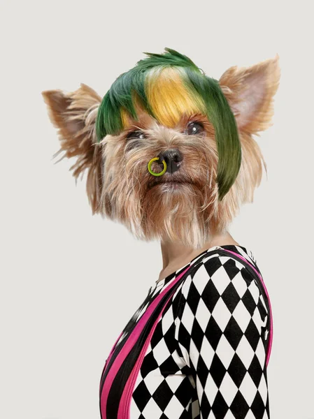 Bright Fashion Fantastical Excited Woman Dogs Head Looking Surprised Camera — Stock Photo, Image