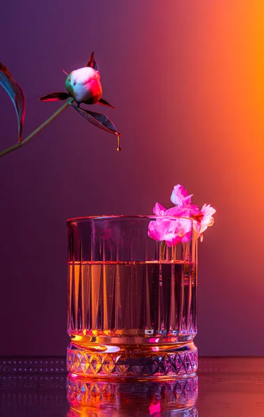 Квітковий Аромат Творча Квіткова Композиція Фоні Темного Кольору Неоновому Світлі — стокове фото