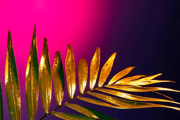 Glow. Closeup golden tropical palm leaf over pink-purple background in neon light. Concept of floristry, decorations, creativity, decor and ad
