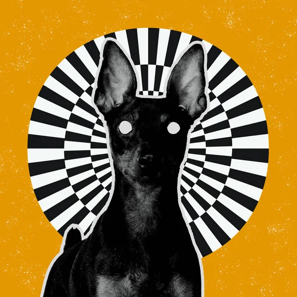 Гіпноз Портрет Собак Над Сюрреалістичним Тлом Елементами Оптичної Ілюзії Сучасне — стокове фото