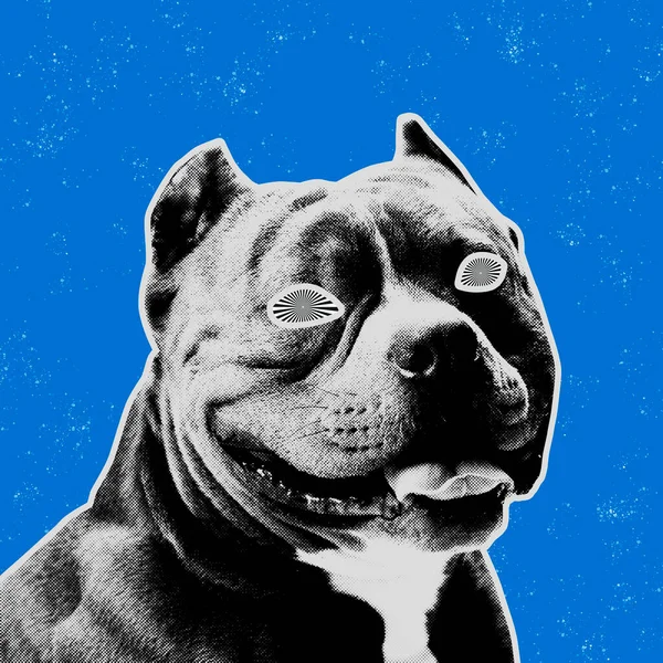 Modern design. Contemporary art collage with cute dog. Inspirative art
