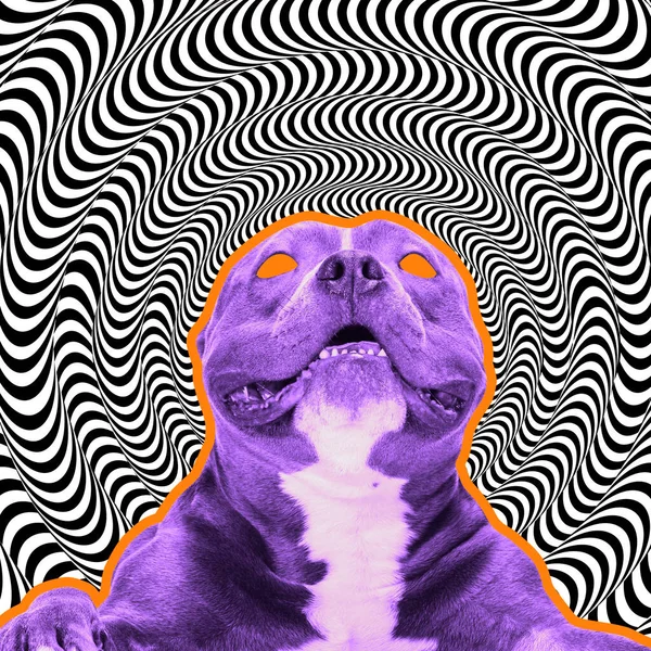 Crazy world. Contemporary art collage with dog silhouette like zombie isolated on optical illusion pattern background. Concept of creativity, art, imagination, animal. Magazine style, poster graphics
