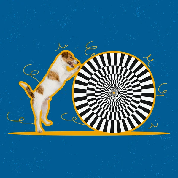 Actuación Circo Collage Arte Contemporáneo Lindo Perro Con Círculo Enorme —  Fotos de Stock