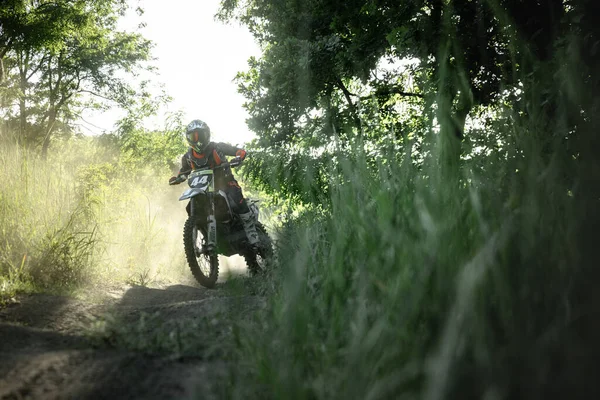 Waldweg Straße Live Aufnahme Eines Professionellen Motorradfahrers Auf Einem Enduro — Stockfoto