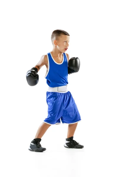 Обучение Спортивный Маленький Мальчик Парень Боксерских Перчатках Шортах Тренирующийся Белом — стоковое фото