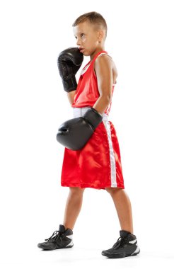 Portrait of kid, young boxer in boxing gloves and red unifprm posing isolated on white studio background. Concept of sport, movement, studying, achievements lifestyle. Copy space for ad