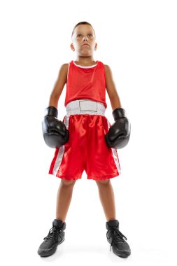 Portrait of kid, young boxer in boxing gloves and red unifprm posing isolated on white studio background. Concept of sport, movement, studying, achievements lifestyle. Copy space for ad