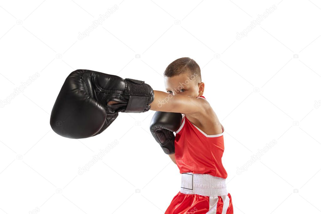 Wide angle view. Active boy, beginner boxer in sports gloves and red uniform boxing isolated on white background. Concept of sport, movement, studying, achievements, lifestyle. Copy space for ad