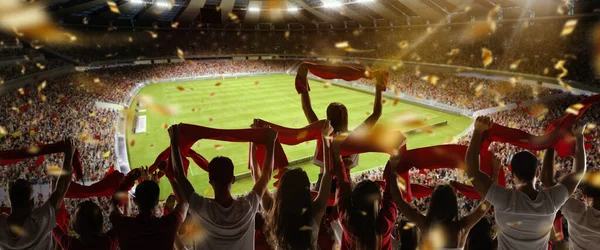 Sportowy Mecz Tylny Widok Piłki Nożnej Kibice Kibicują Swojej Drużynie — Zdjęcie stockowe