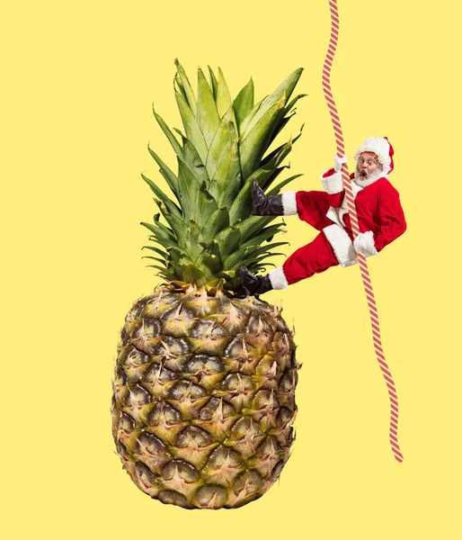 Contemporary artwork. Creative design with joyful senior man in image of Santa Claus climbing up the rope on pineapple. Concept of holiday, winter vacation, New Year, Christmas, creativity, fun, ad