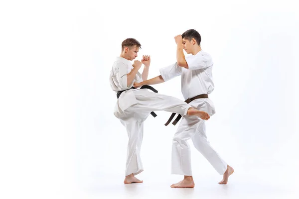 Shotokan karate-do. Two athletes, karate-do fighters in doboks practicing karate isolated on white background. Concept of sport, education, skills, martial arts, healthy lifestyle and