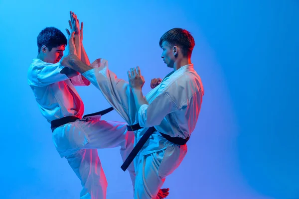 Stúdió Felvétel Sport Képzés Két Karatedo Harcosok Doboks Elszigetelt Kék — Stock Fotó