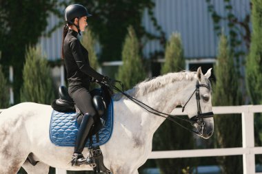 Binicilik sporu. Genç bir kadının portresi, yaz günü açık havada binicilik eğitimi. At terbiyecisi. At biniciliği. Spor anlayışı, zarafet, reklam, aktif yaşam tarzı