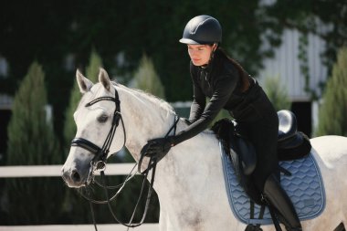Equestrian sport. Portrait of young woman, female rider training at riding arena in summer day, outdoors. Dressage of horses. Horseback riding. Concept of sport, grace, ad, active lifestyle