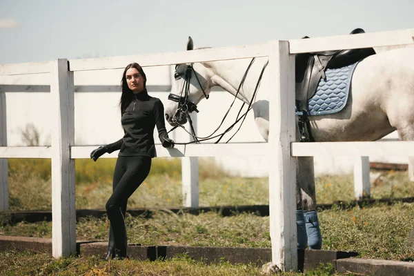 Training Horse Dressage Live Portrait Young Beautiful Woman Her Horse — ストック写真