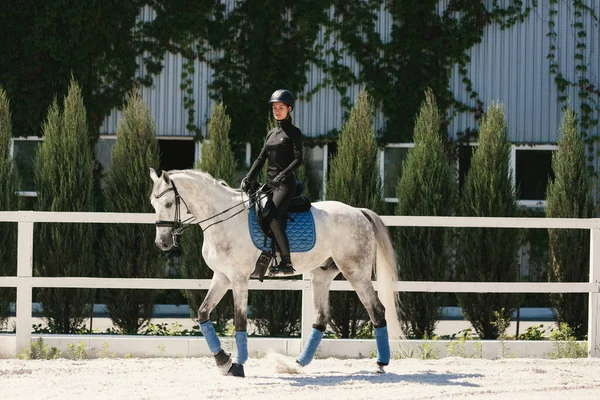 Female Rider Horseback Riding Trot Sandy Arena Countryside Summer Day — Zdjęcie stockowe