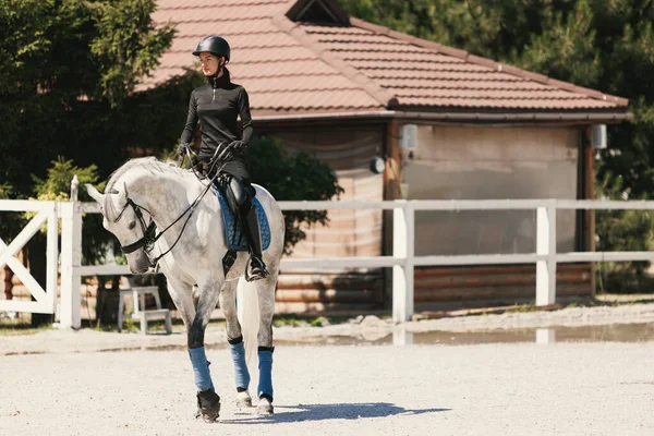 Equestrian Sport Portrait Young Woman Female Training Riding Arena Summer — Zdjęcie stockowe