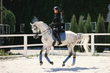 At sırtında gezen bir kadın binici, kumlu arenada, kırsal alanda, yaz gününde, açık havada. At terbiyecisi. At biniciliği. Spor anlayışı, zarafet, reklam, aktif yaşam tarzı