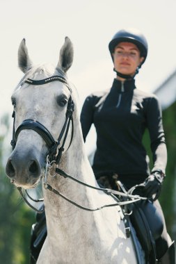 Adorable horse in focus. Portrait of young woman, female rider training at riding arena in summer day, outdoors. Dressage of horses. Horseback riding. Concept of sport, grace, ad, active lifestyle