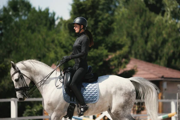 Jeździecki Sport Portret Młodej Kobiety Trening Jeździecki Arenie Letni Dzień — Zdjęcie stockowe