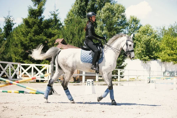 Equestrian Sport Portrait Young Woman Female Rider Training Riding Arena — Zdjęcie stockowe