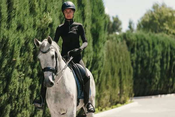 Walk Portrait Young Woman Female Rider Training Riding Arena Summer — ストック写真