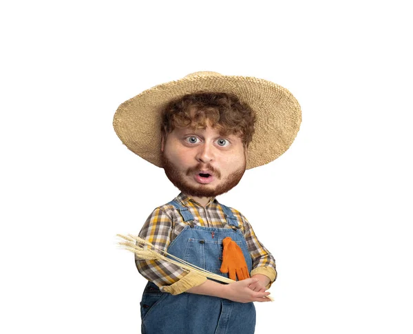 Surprised Farmer Funny Man Caricature Face Isolated White Background Cartoon — Stock fotografie