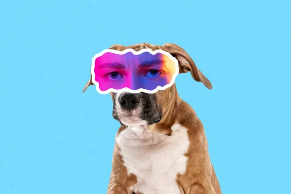 Sad, doubts. Magazine style collage with dog with female eyes expressing different emotions isolated on blue background. Surreal eyewear. Animal look at urban lifestyle. Concept of fun, creativity, ad