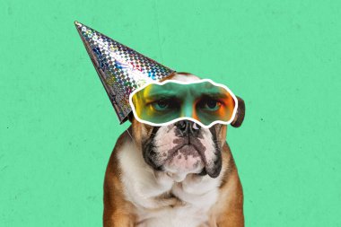 Annoyed. Creative art collage with breed dog with human eyes expressing different emotions isolated over cyan color background. Magazine style. Concept of surrealism, fun, creativity, inspiration.