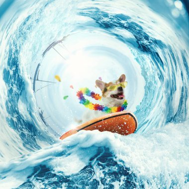 Summer vibes. Creative art collage with funny Welsh corgi dog surfing on huge wave in ocean or sea on summer vacation with modern sunglasses and flower chain. Concept of rest, sport, adventures
