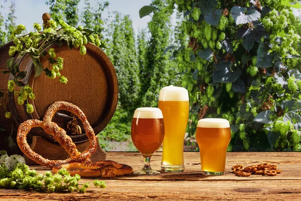 Oktoberfest Holiday Event Wooden Beer Barrel Glasses Frothy Beer Wheat —  Fotos de Stock