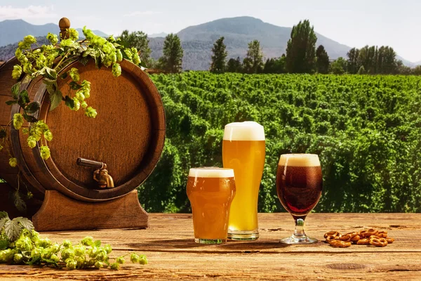 Composition with beer barrel and beer glasses with wheat and hops on wooden table over hop gardens and nature landscape background. Oktoberfest, drinks, tastes concept