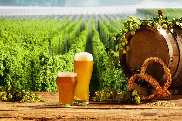 Composition Beer Barrel Beer Glasses Wheat Hops Wooden Table Hop —  Fotos de Stock
