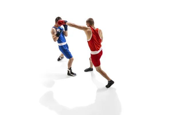 Fight. Professional male boxer in sports uniform and gloves training isolated on white background. Concept of sport, competition, training, energy. Copy space for ad, text. Aerial view