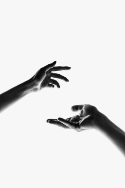 Tenderness. Monochrome. Authentic hands gesturing isolated on white background. Concept of relationship, feelings, community, care, support, symbolism and art. Copy space for ad