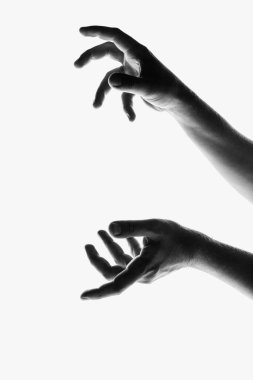 Monochrome image of beautiful hands in different motion isolated on white background. Concept of feelings, community, care, support, symbolism, art. Copy space for ad