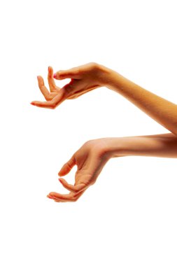 Sensual female hands gesturing isolated on white studio background. Concept of relationship, feelings, community, care, support, symbolism, art. Copy space for ad