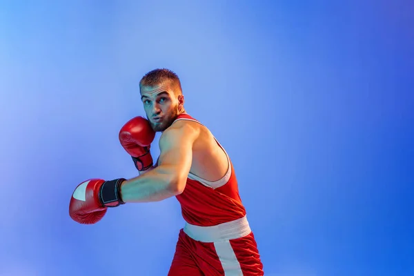 Knockout punch. Sporty man during boxing exercises. Male boxer in red uniform and boxing gloves training isolated on blue background in neon. Strength, attack and motion concept. Copy space for ad