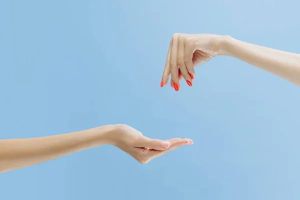 Help. Graceful female hands gesturing isolated on blue background. Concept of relationship, feelings, community, care, support, symbolism, art. Copy space for ad