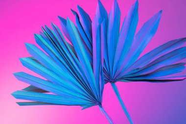 Shine. Closeup white branch over pink background in neon light. Concept of floristry, decorations, creativity, decor and ad.