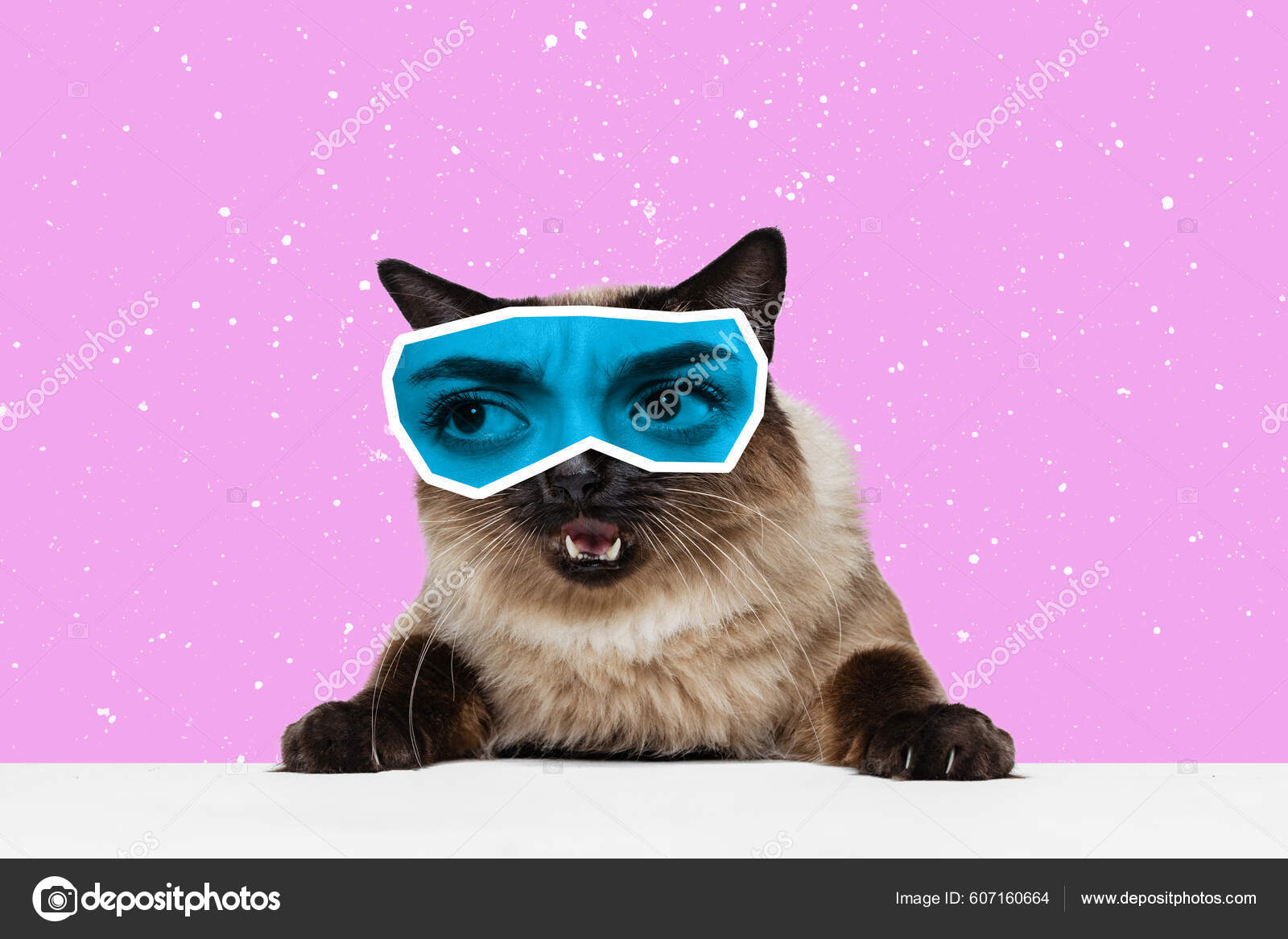 Angry Pet Funny Portrait Cute Cat Human Eyes Expressive Different Stock  Photo by ©vova130555@gmail.com 607160664