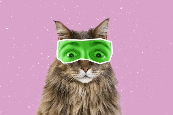 Schock Kreative Porträt Der Niedlichen Katze Mit Menschlichen Augen Ausdrucksstarke — Stockfoto