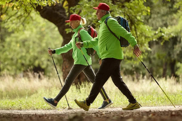 两个喜欢运动的人 中年妇女和男子在阳光明媚的天气里在秋天的森林里徒步旅行 业余爱好 斯堪的纳维亚人散步和健康的生活方式的概念 看起来很高兴很高兴 — 图库照片